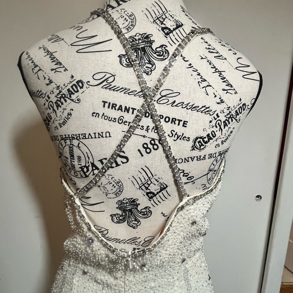Wedding/Prom dress. - Picture 9 of 9